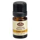 Curry Leaf Pure Essential Oil