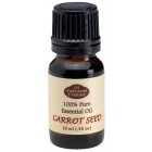 Carrot Seed Pure Essential Oil