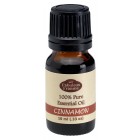 Cinnamon Leaf Pure Essential Oil